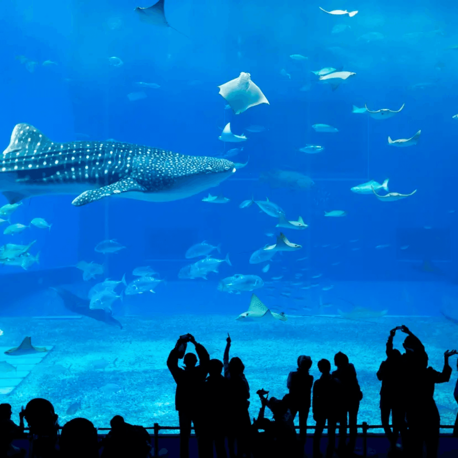 Destination image image4