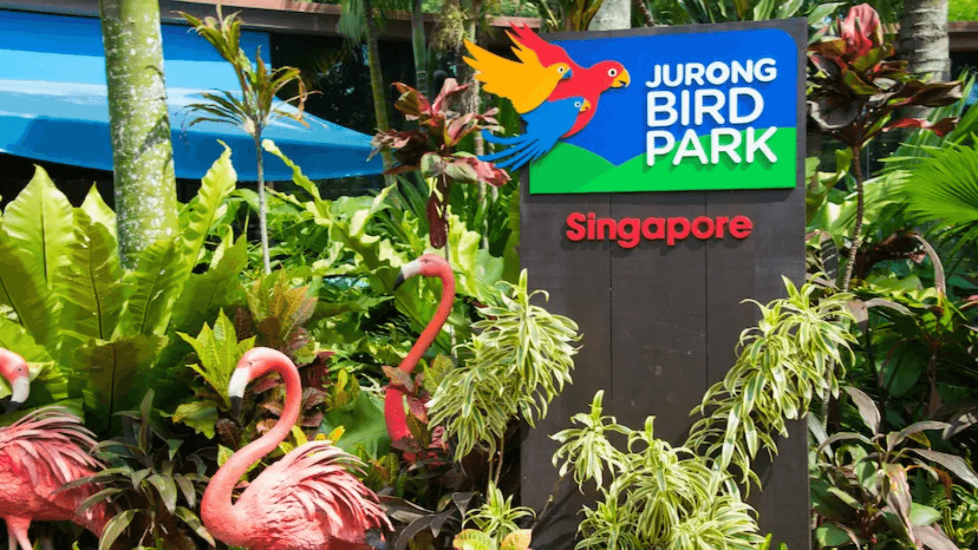 "Discover nature’s wonders at Gardens by the Bay’s futuristic blooms and Jurong Bird Park’s vibrant avian paradise."