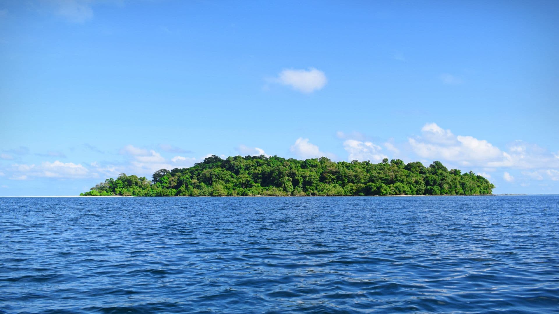 Experience the thrill of sailing through narrow mangrove creeks to reach the fascinating Limestone Caves on Baratang Island, offering a glimpse into the region's natural artistry.