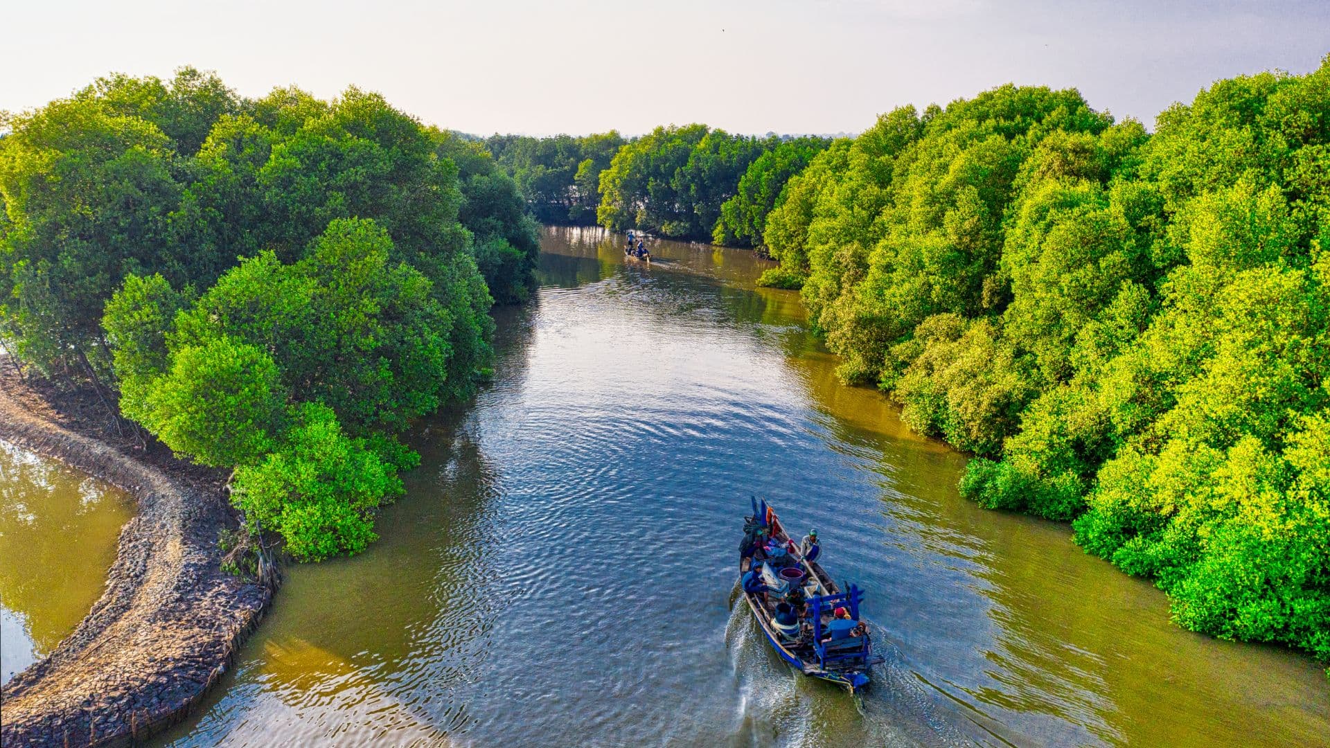 Discover Radhanagar Beach, often cited as one of Asia's best beaches, where the turquoise waters meet pristine sands – perfect for swimming and sunsets.