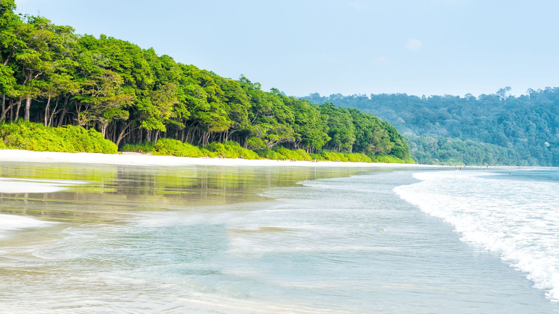 Explore the historic remnants and lush wilderness of Ross Island, once the administrative hub of the British, now a haunting site with overgrown ruins and roaming deer.