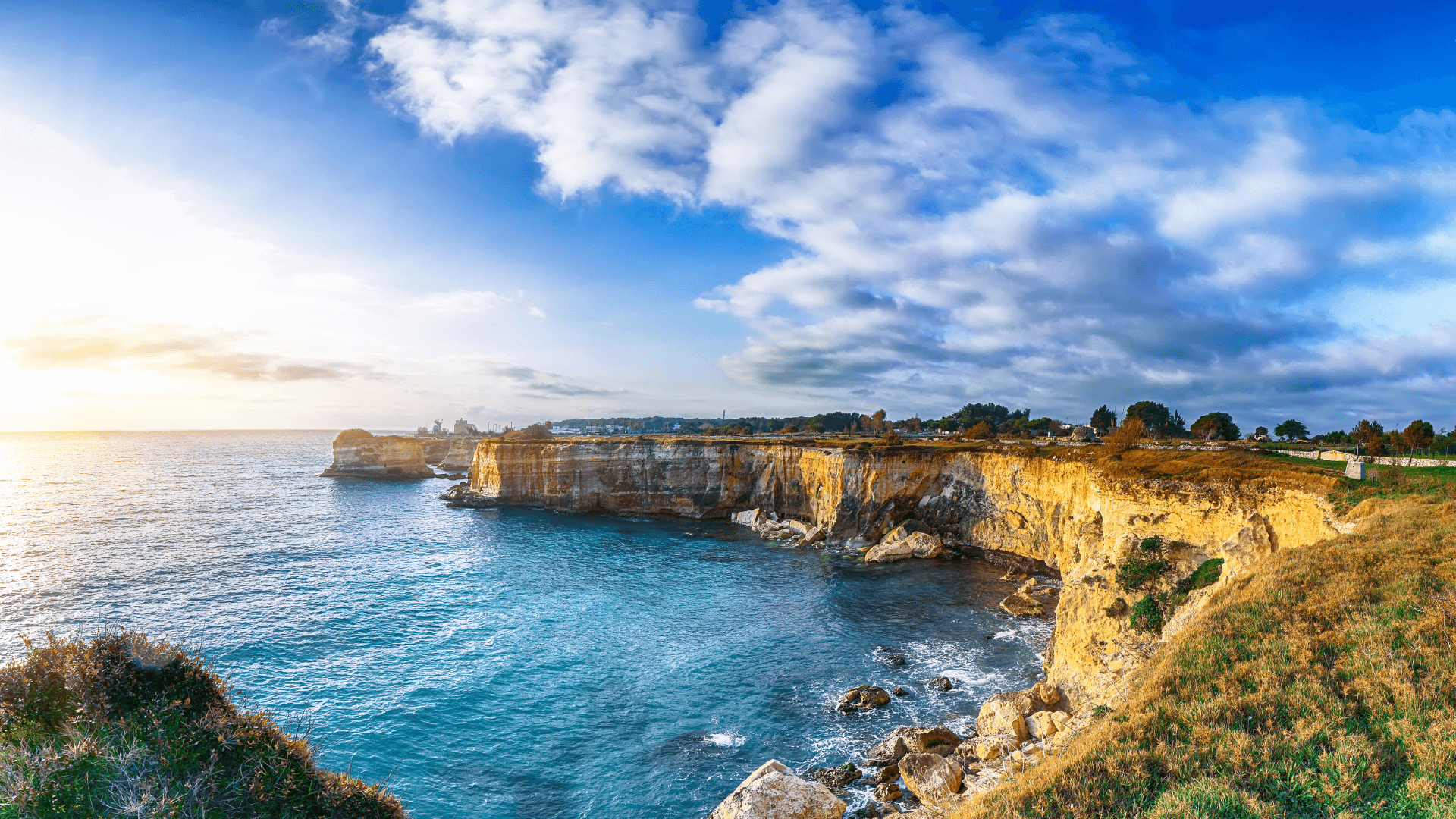 Experience the iconic Great Ocean Road, which offers one of the most scenic coastal drives in the world. The highlight is the majestic 12 Apostles, massive limestone structures that rise majestically from the Southern Ocean.