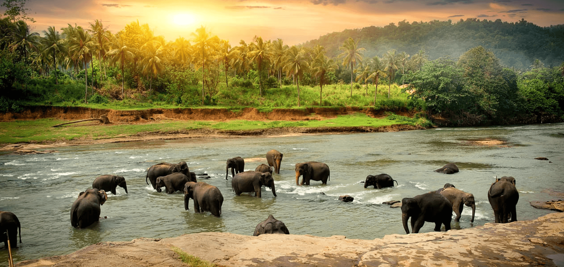 Love in Paradise: A Romantic Getaway Guide to Sri Lanka