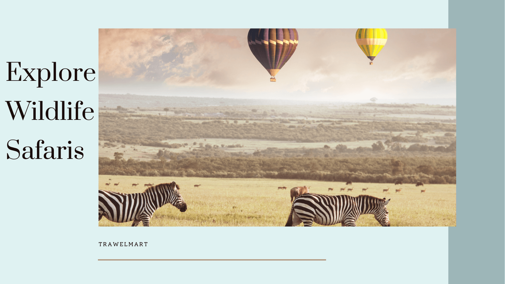 Explore the Best Wildlife Safari Destinations in the World