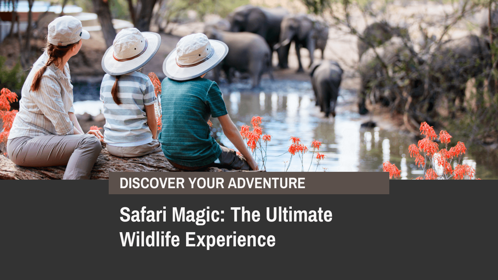 Safari Magic: The Ultimate Wildlife Adventure for Indian Travellers