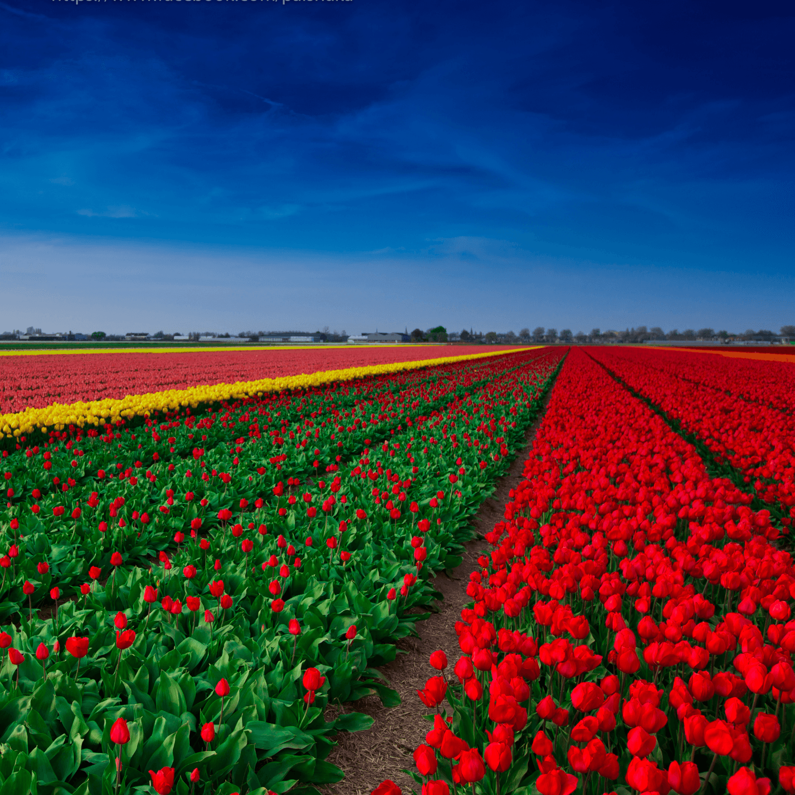 Destination image image2