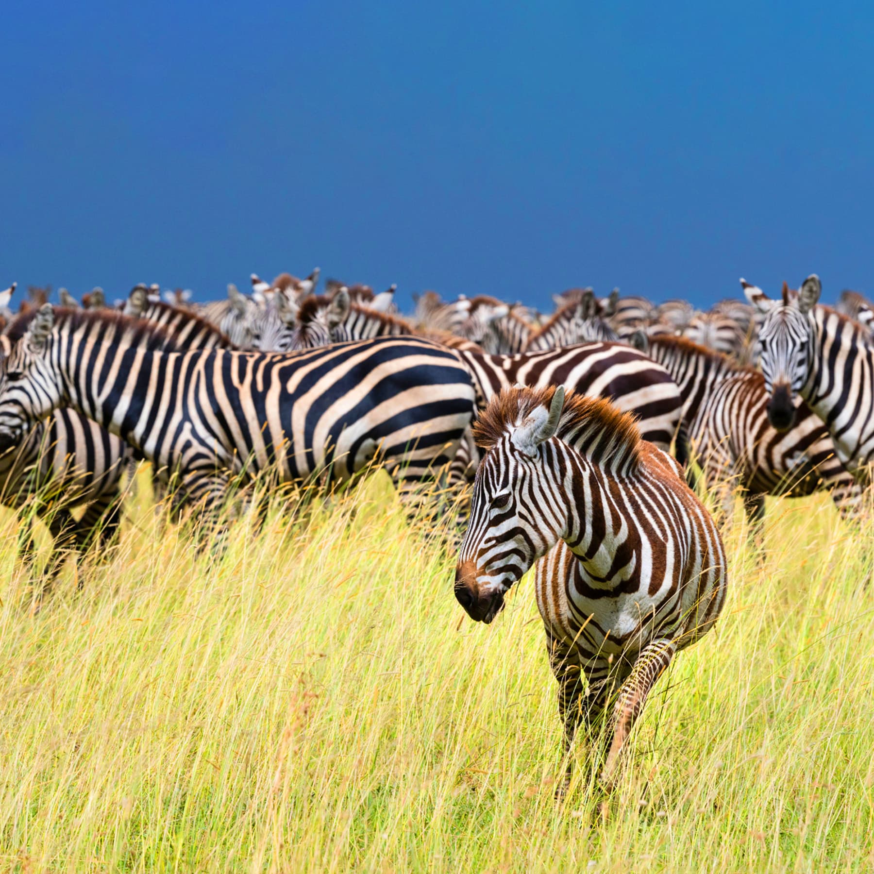 Destination image image3