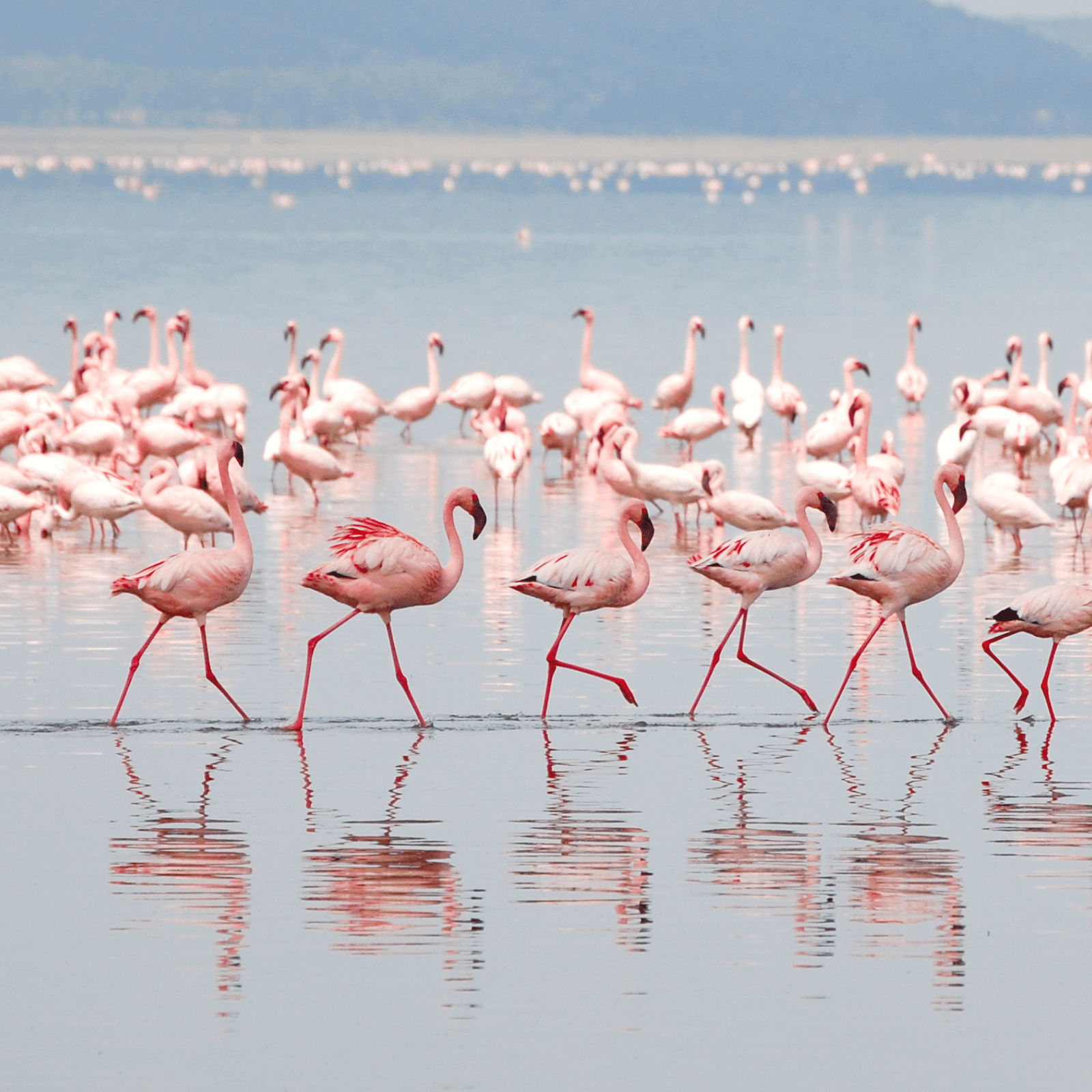 Destination image image2