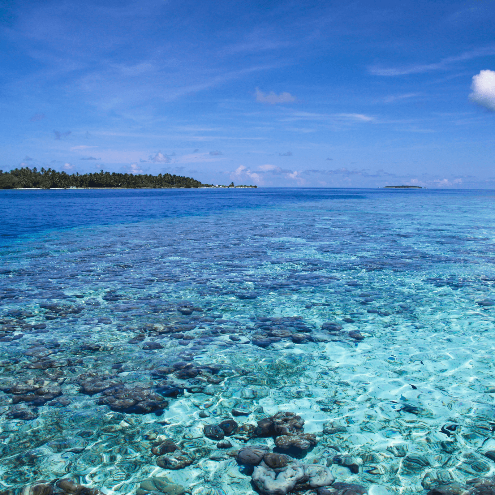 Relax at Trou aux Biches Beach with crystal-clear waters.