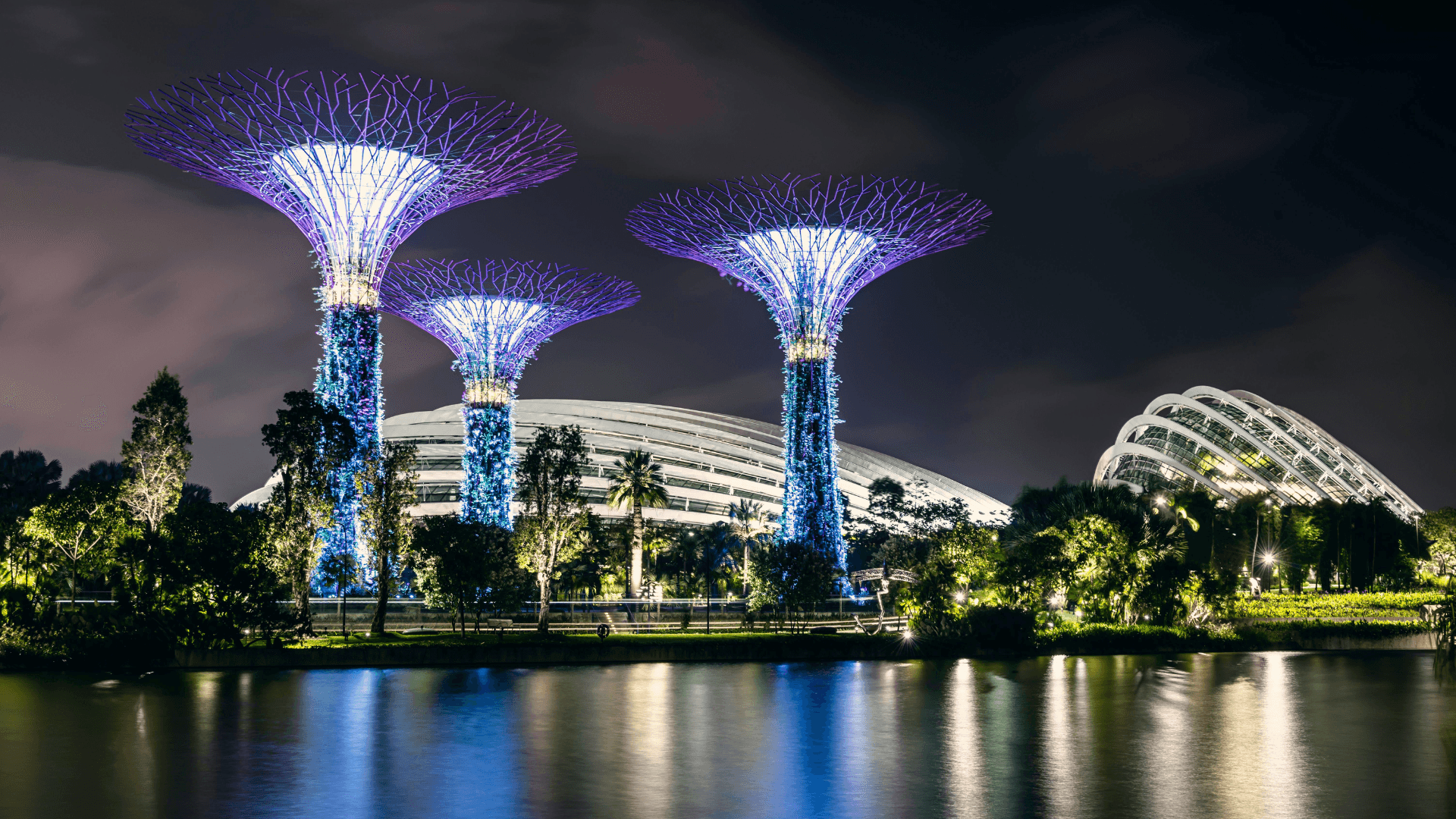A futuristic nature park with towering Supertrees, breathtaking Cloud Forest, vibrant Flower Dome, and dazzling night light shows in the heart of Singapore.”