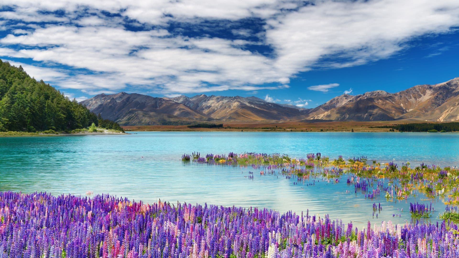 7-Day South Island New Zealand Tour Package – Adventure, Lakes & Mountains