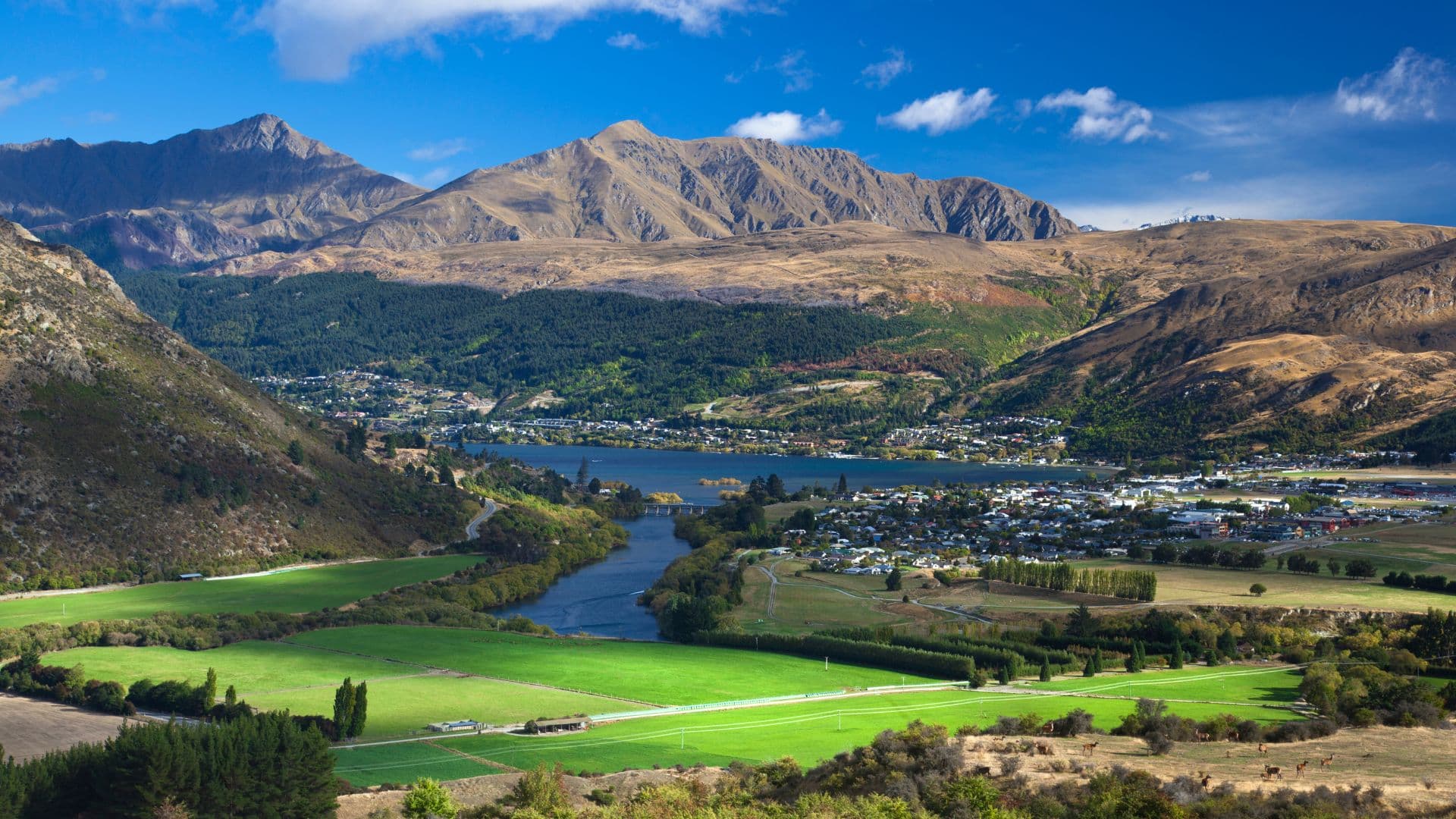 Experience the Best of New Zealand in 10 Days – Scenic Drives & Iconic Attractions