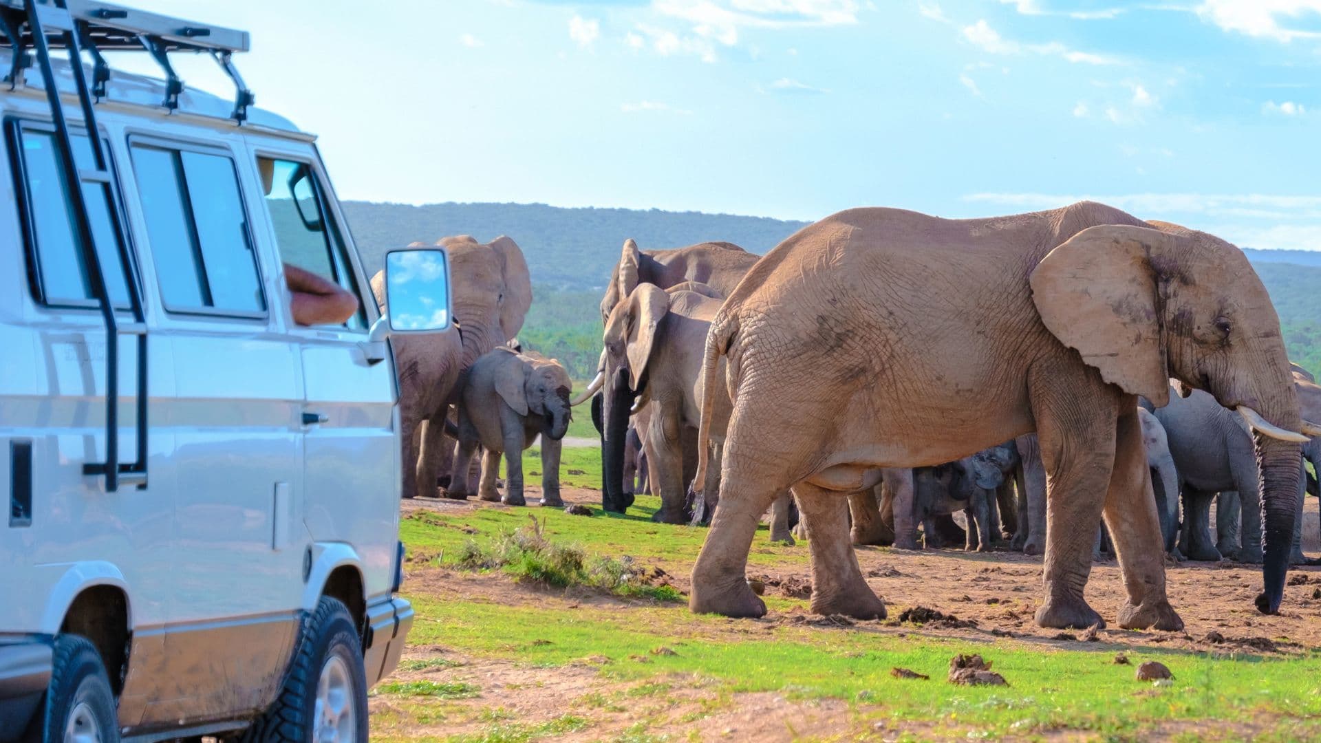 Kruger National Park Safari: Spot the Big Five and capture close encounters with Africa's majestic wildlife.