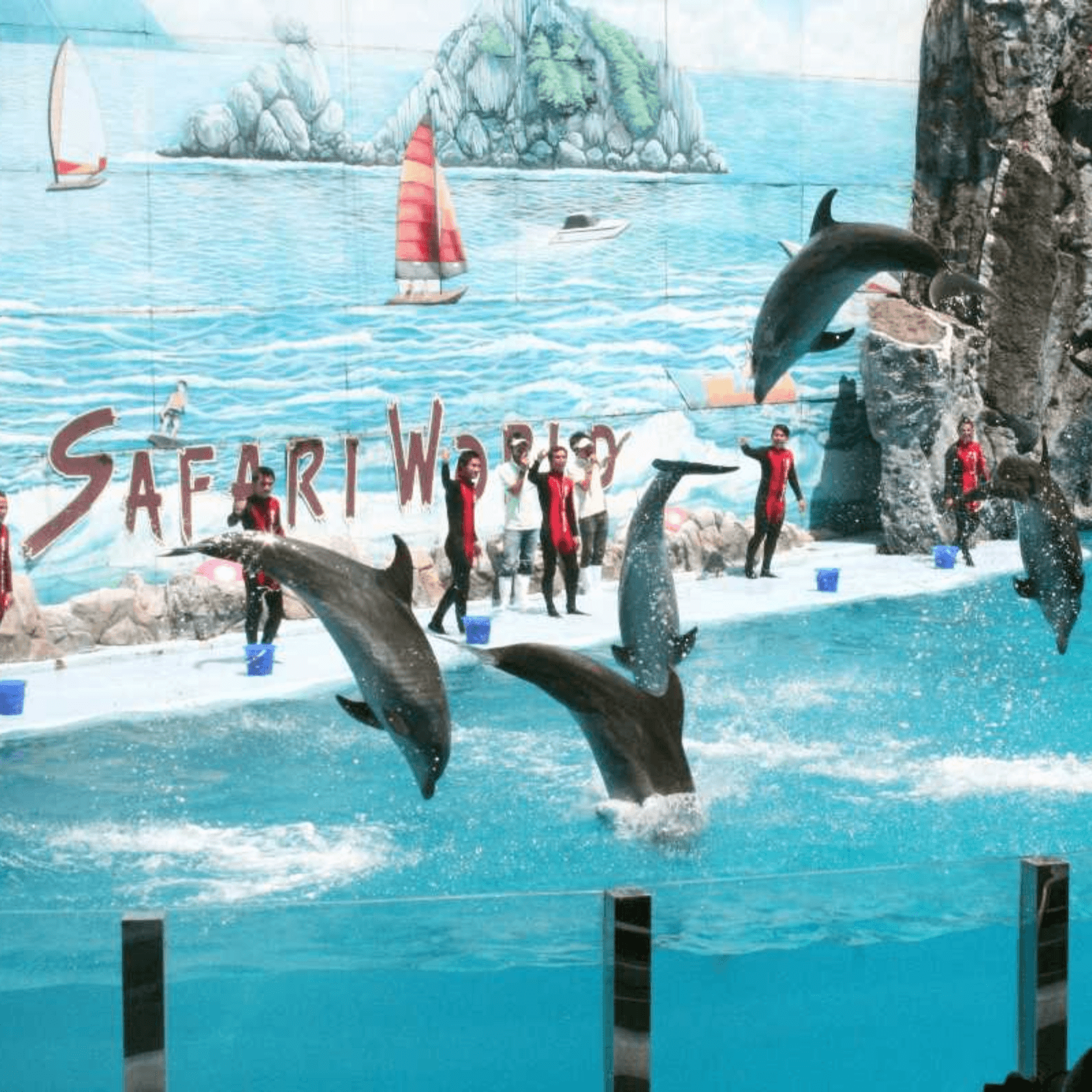 Safari World & Marine Park – Unique wildlife encounters.