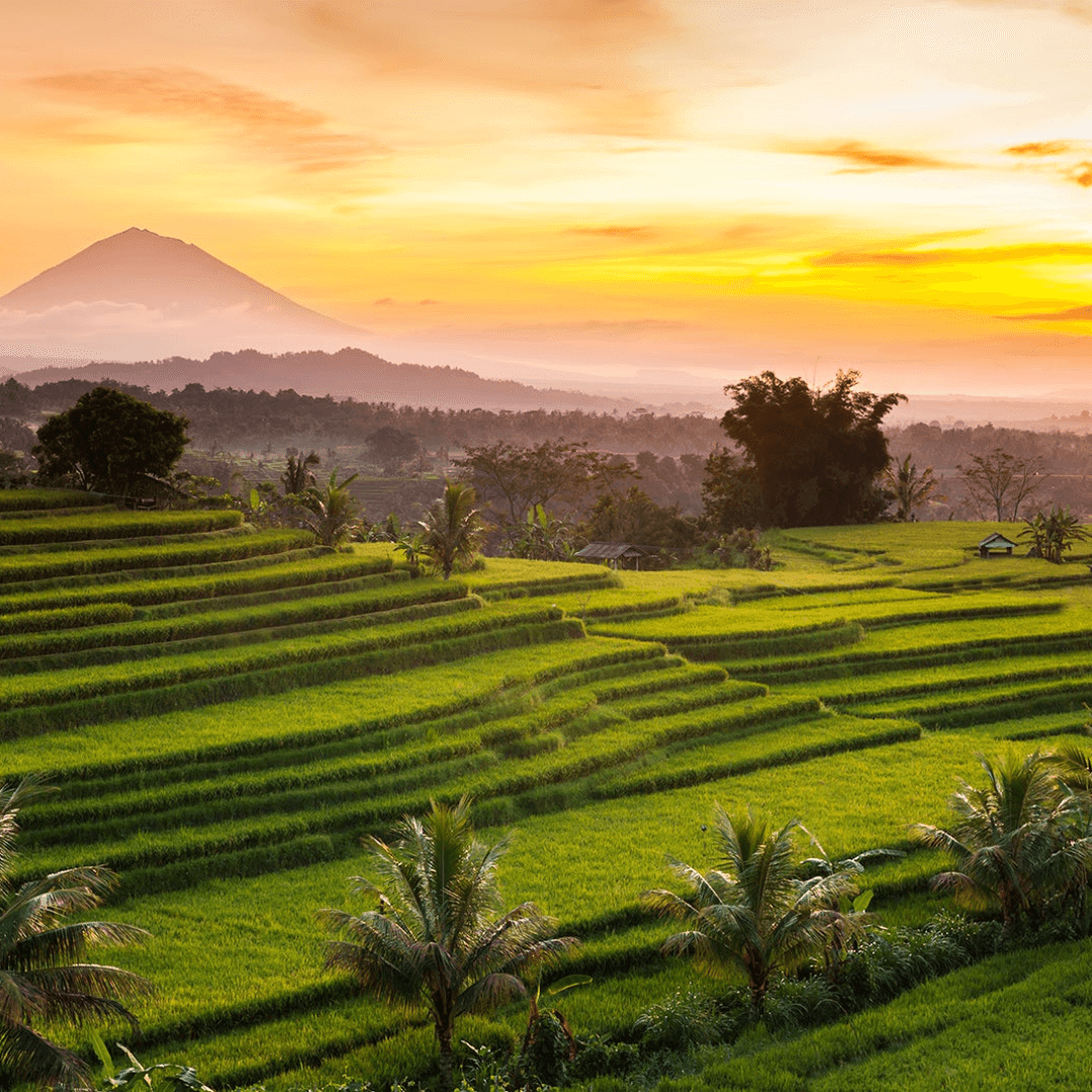 Destination image image2