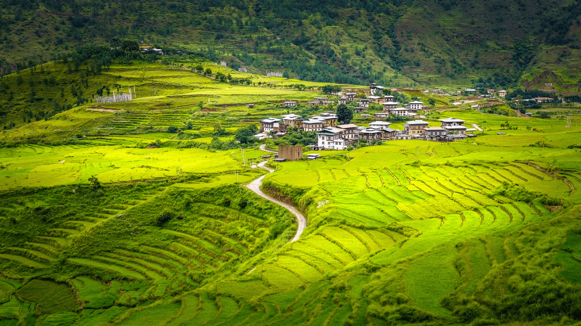 Explore the Mystical Landscapes and Rich Culture of Bhutan