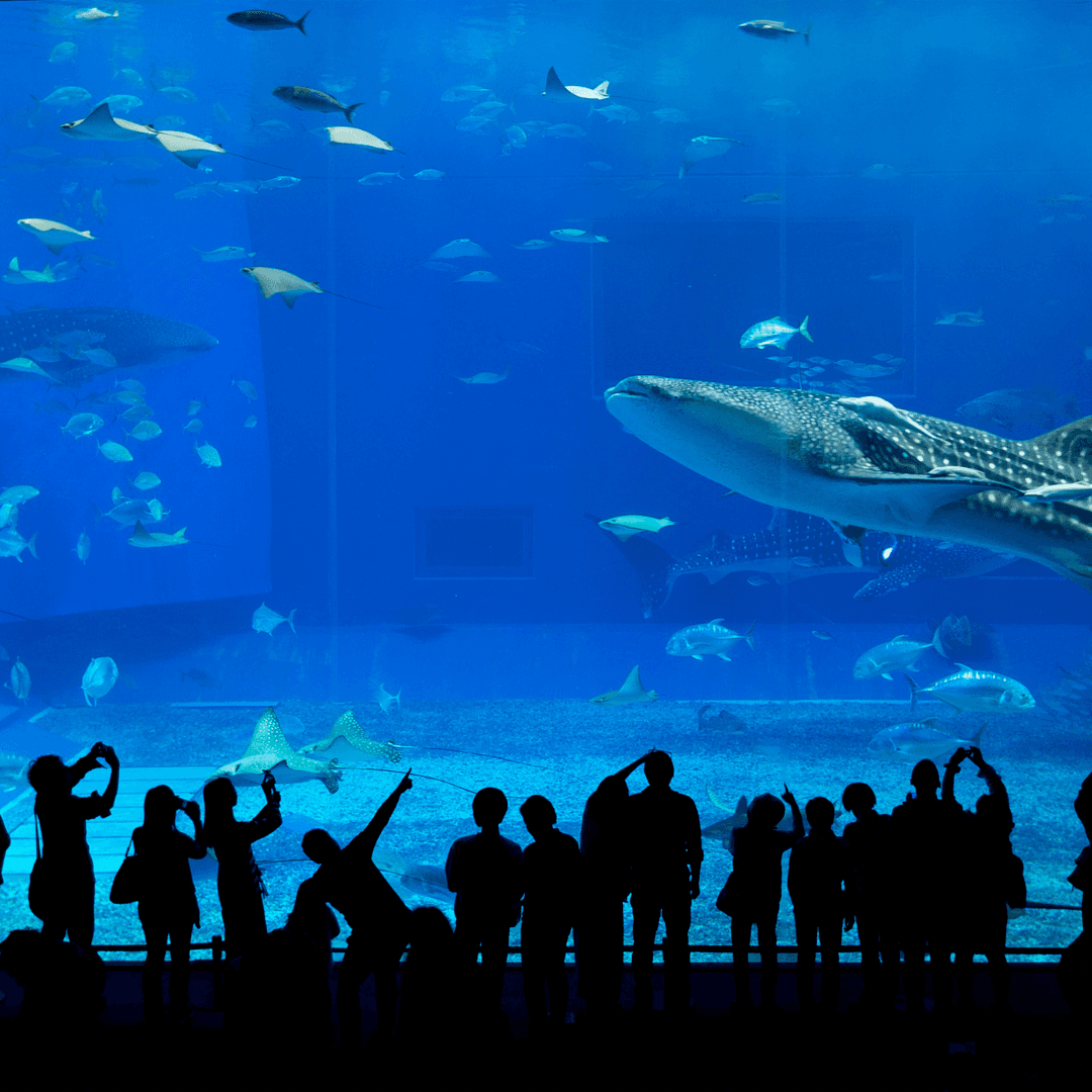 Destination image image5