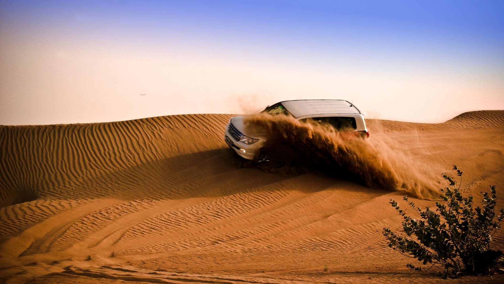 Desert Safari & BBQ Dinner: Thrilling dune bashing, belly dancing, and a flavorful BBQ dinner set in the serene Arabian desert.