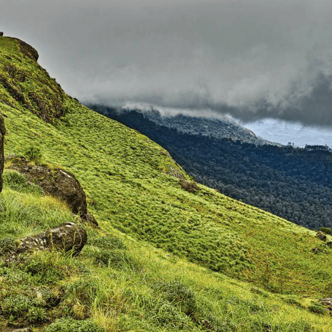 Visit the Pothamedu View Point in Munnar for extensive vistas of tea plantations and misty valleys, ideal for photography and nature enthusiasts.