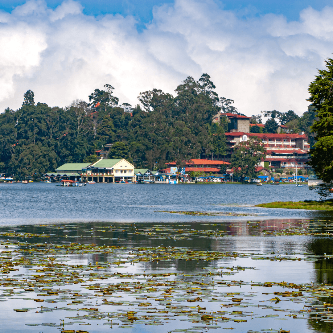 Destination image image1