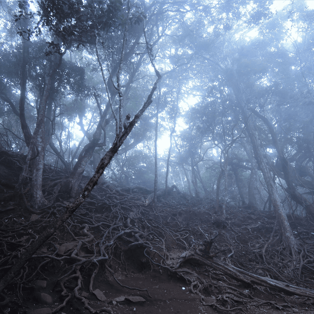 Destination image image5