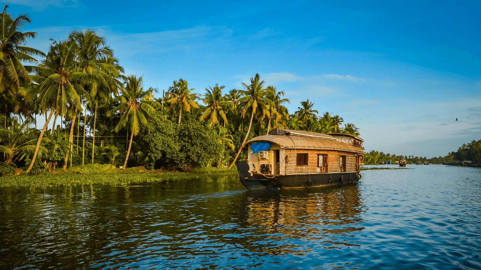 4 Days Kerala Adventure: Backwaters and Cultural Highlights